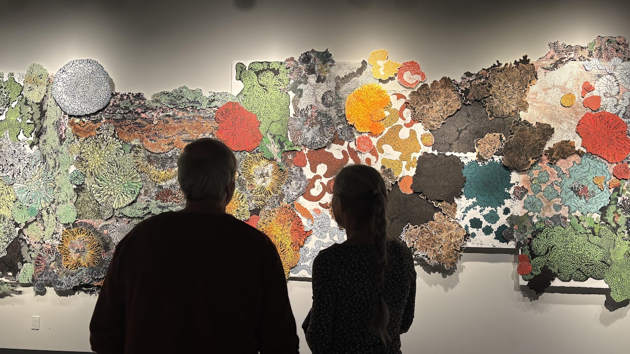 Lichen, racines et vagues s’installent au Musée de la Côte-Nord