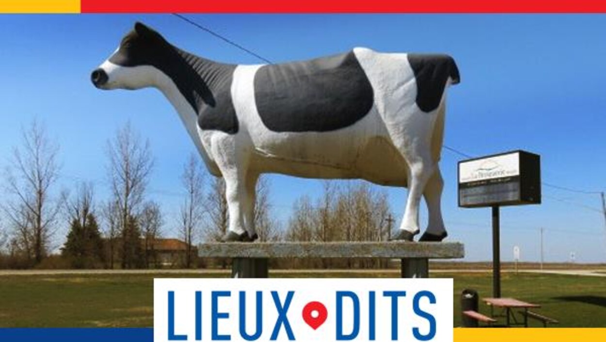 Le monument d'une vache. Le monument d'une vache.