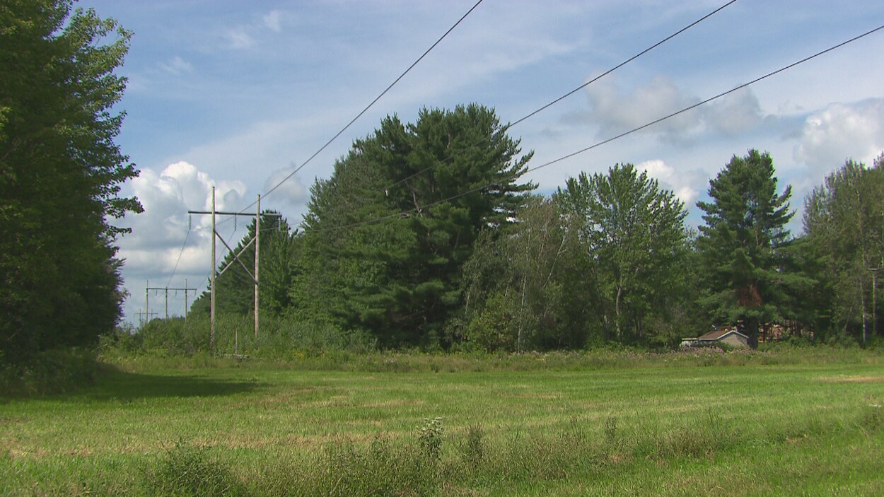 Ligne électrique sur des poteaux en bois.