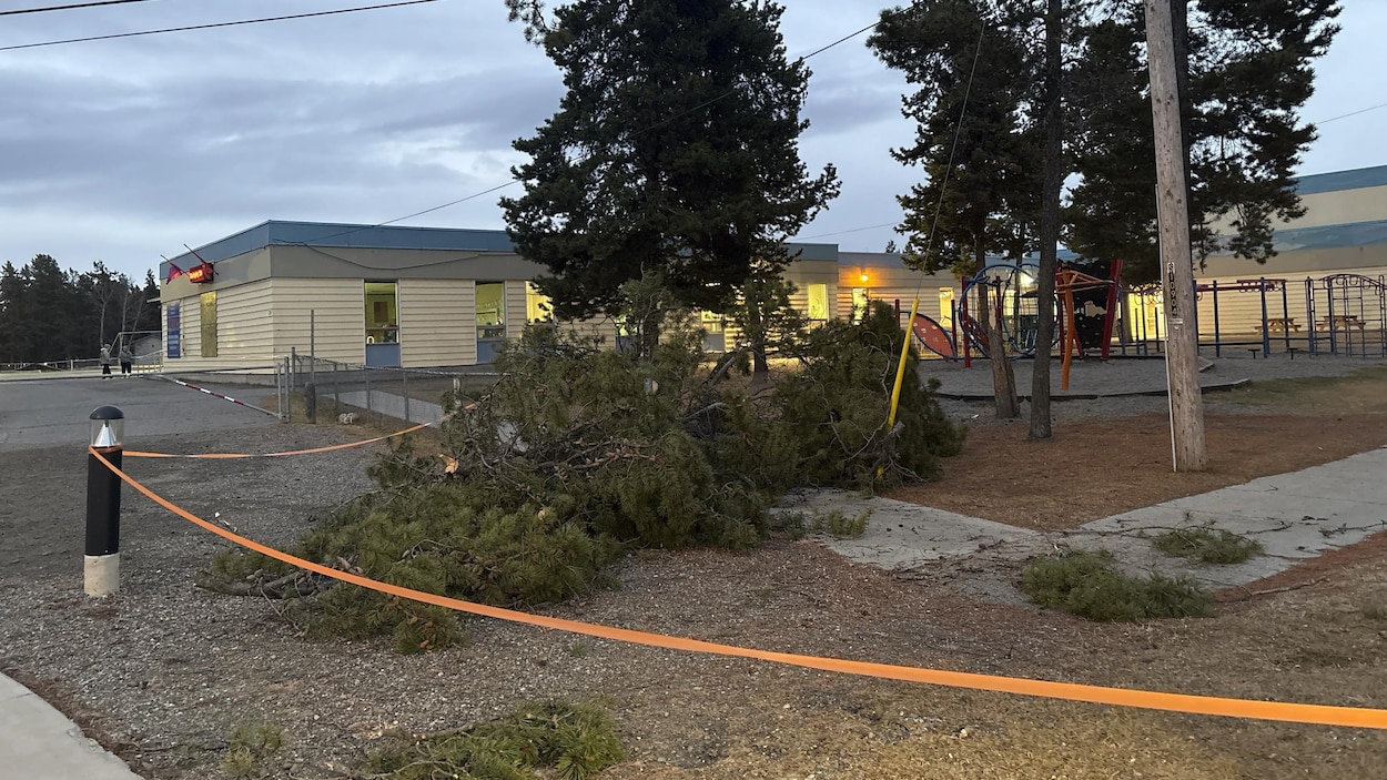 À Whitehorse, une ligne électrique tombée piège des élèves dans un autobus scolaire