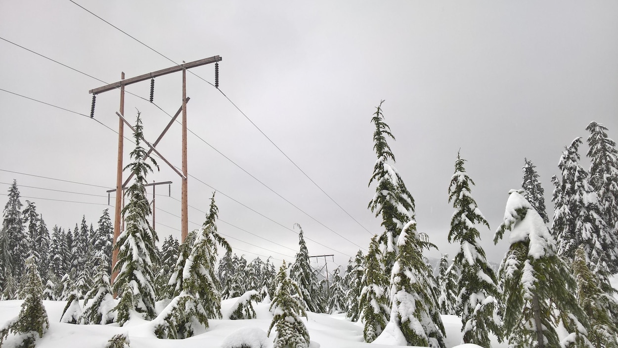 Des lignes à haute tension dominent une forêt d'arbres enneigés sur la montagne Cypress au nord de Vancouver Des lignes à haute tension dominent une forêt d'arbres enneigés sur la montagne Cypress au nord de Vancouver