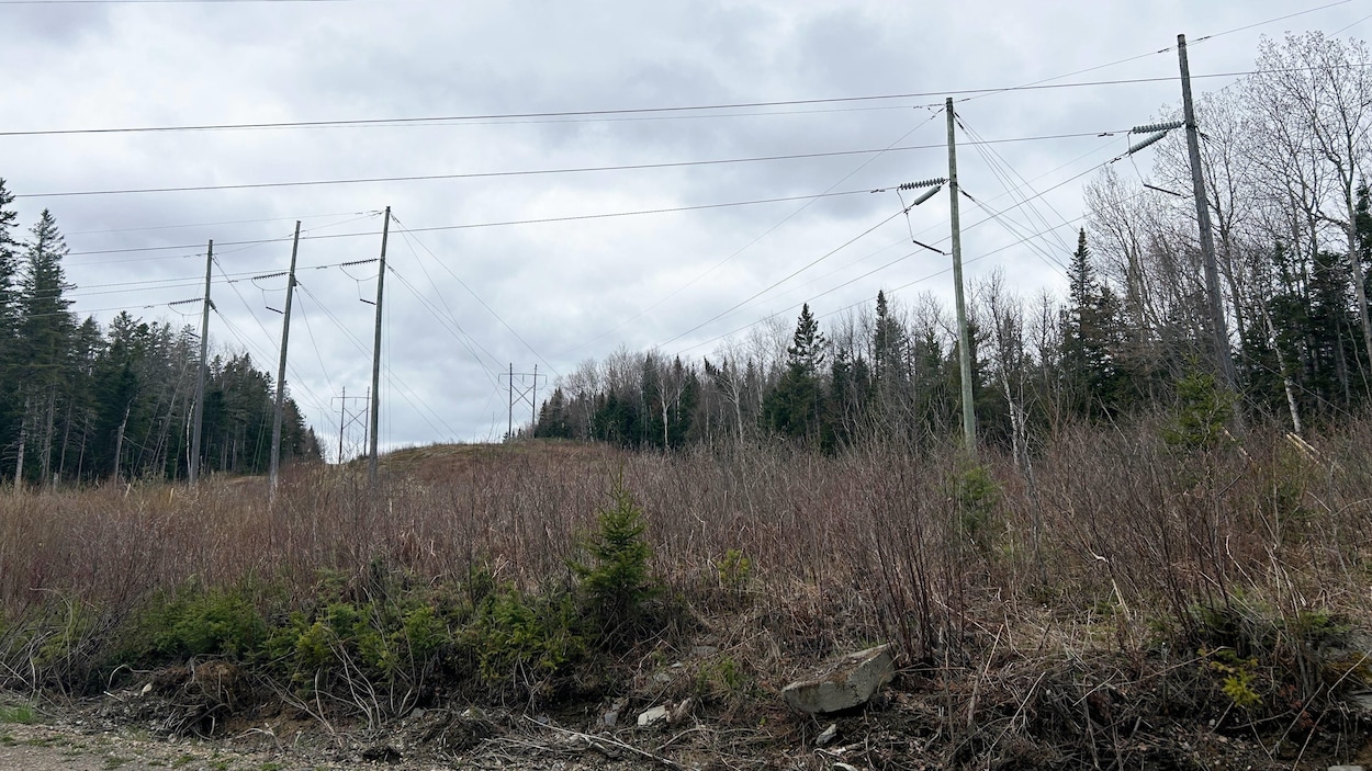 Des travaux sur des lignes vers les É.-U., le maire d’Edmundston voit rouge