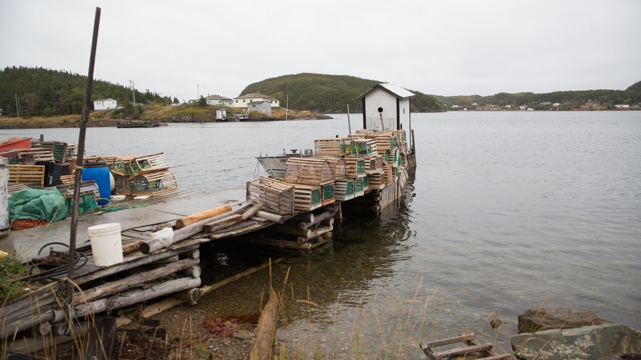 Un vieux quai en bois délabrés sur lequel sont déposés des casiers à homard.