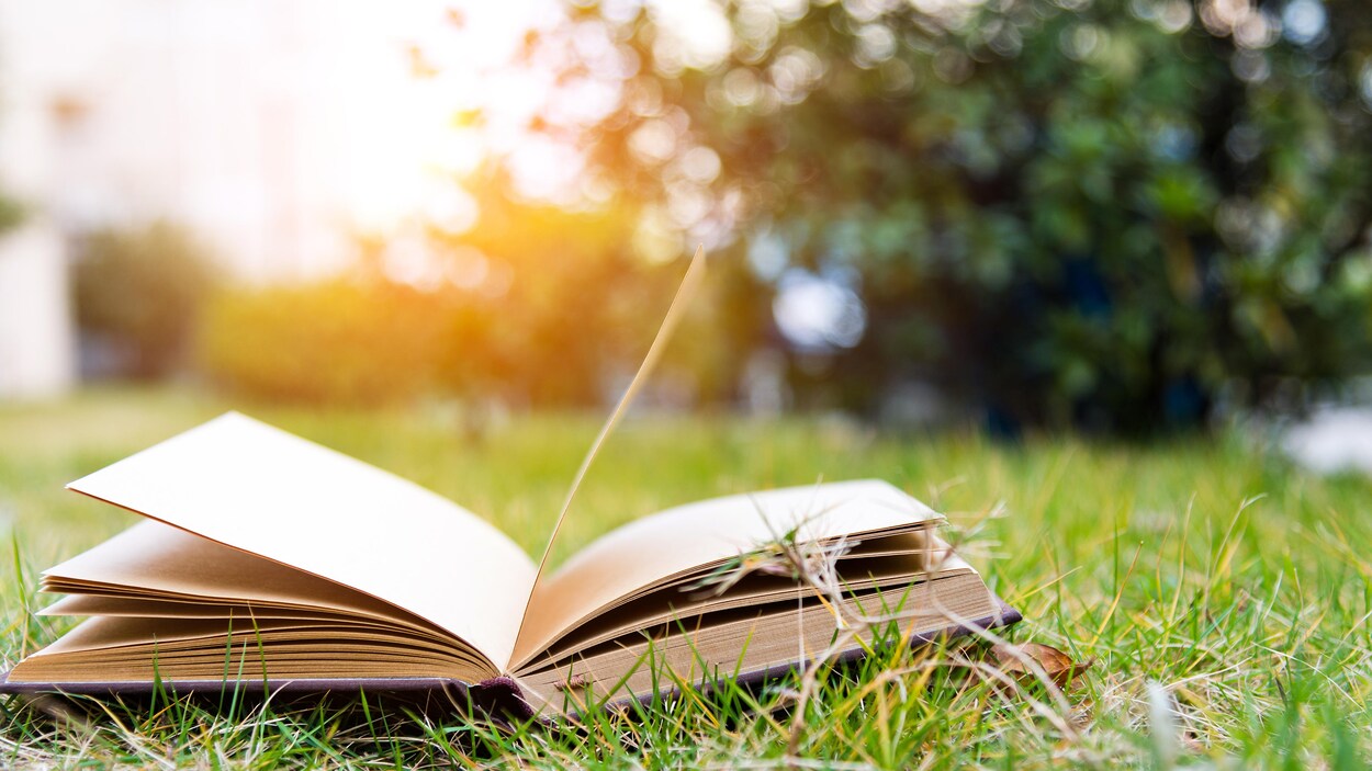 Lecture d'été