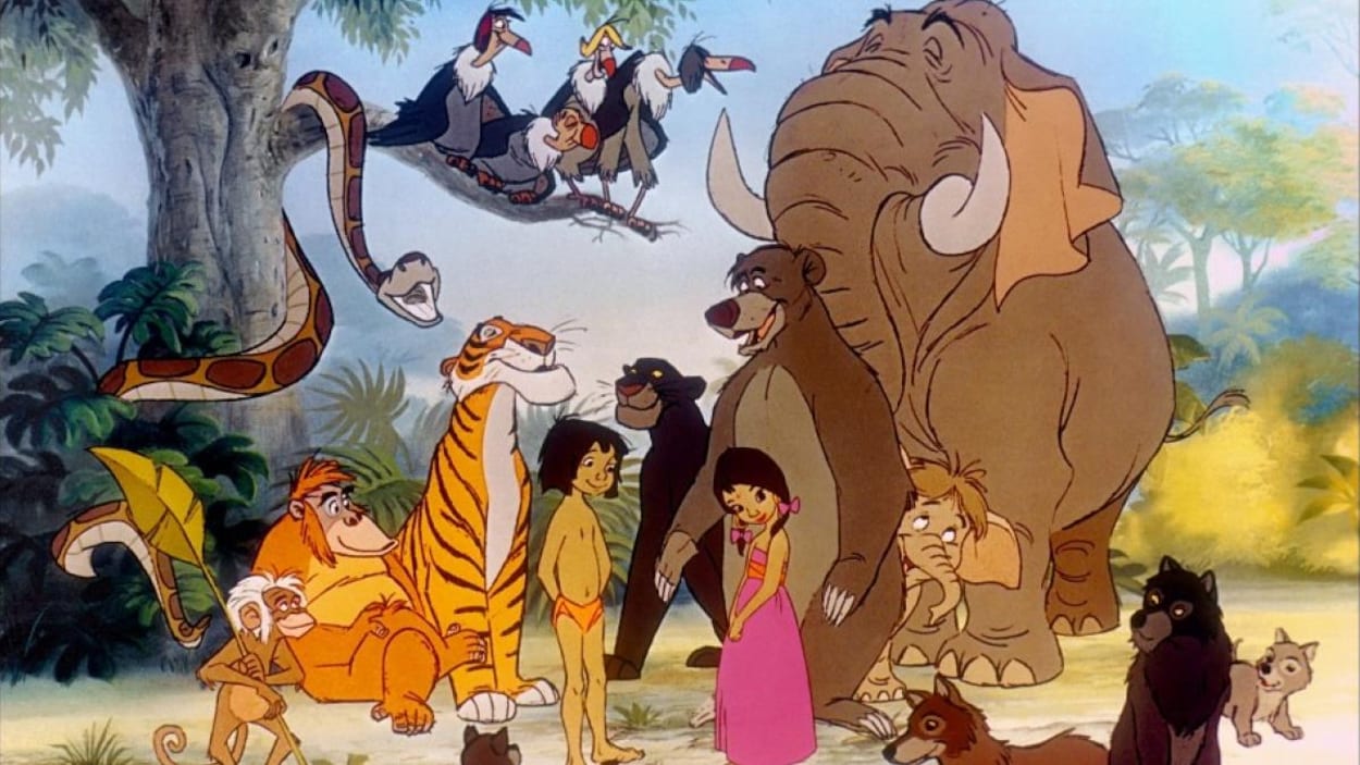 50 Ans Apres Le Livre De La Jungle De Disney Comment Se Portent Les Animaux L Inde En 2017 Radio Canada Ca