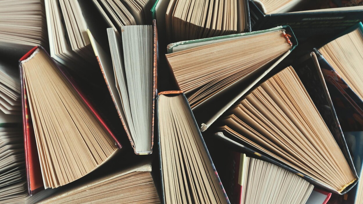 Plusieurs livres sont posés debout sur un table.