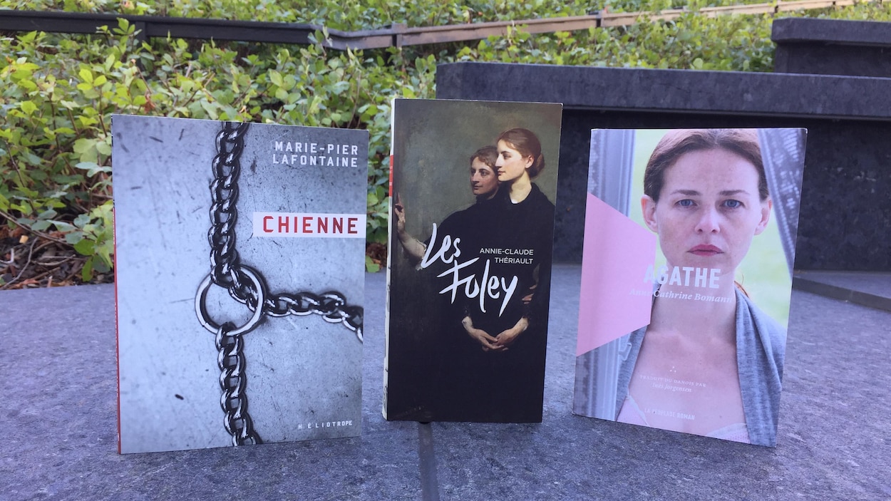 Les trois livres sont présentés debout, sur une marche de béton, avec de petits arbustes verts en arrière-plan