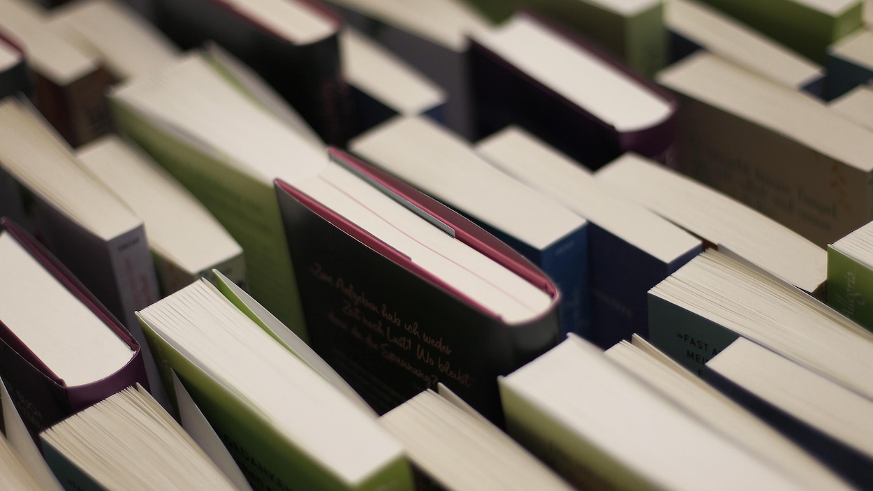 Ce qu’il faut savoir sur la destruction de livres pour l’entraînement de l’IA