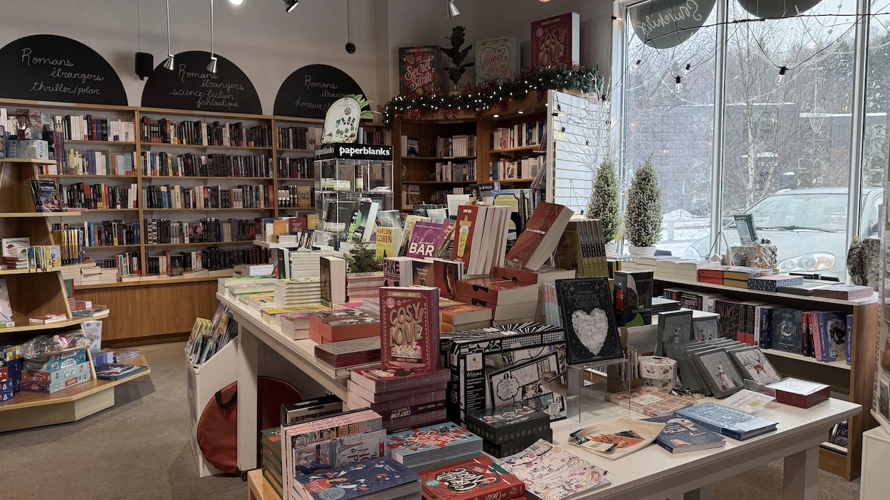 Les ventes de livres en baisse au Québec l’an dernier