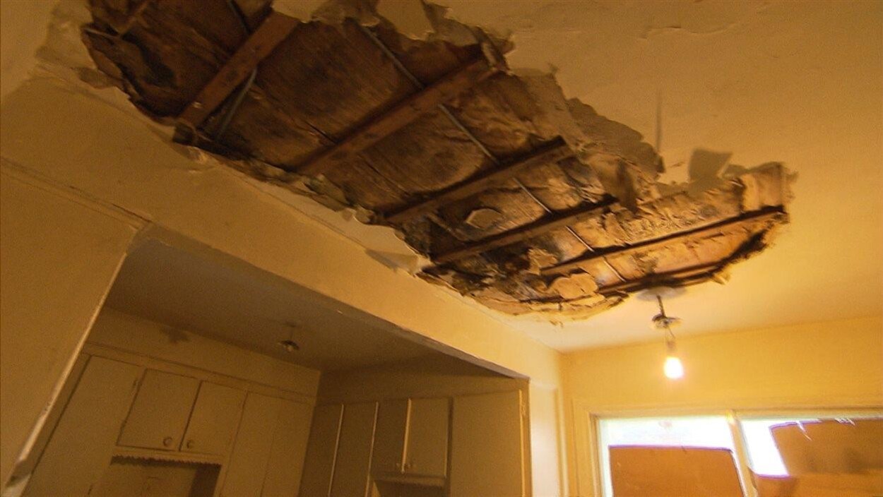 Un appartement insalubre.