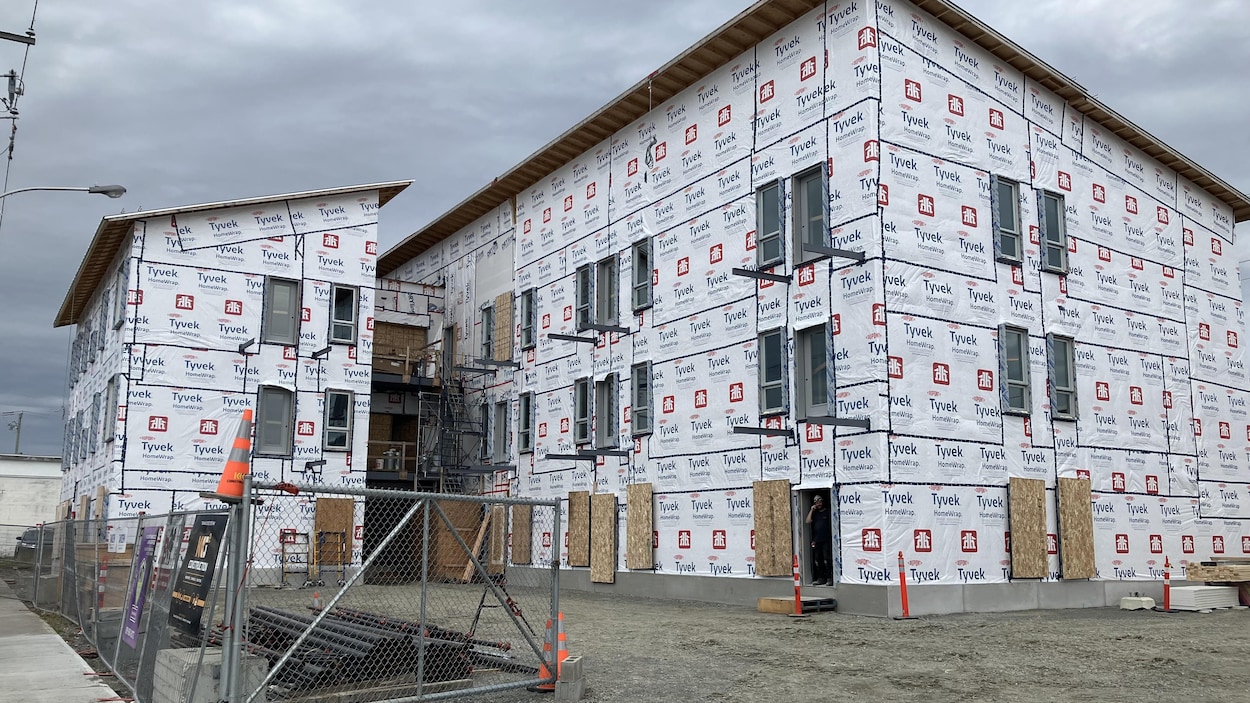 Le bois, une solution à la crise du logement, soutient l’industrie