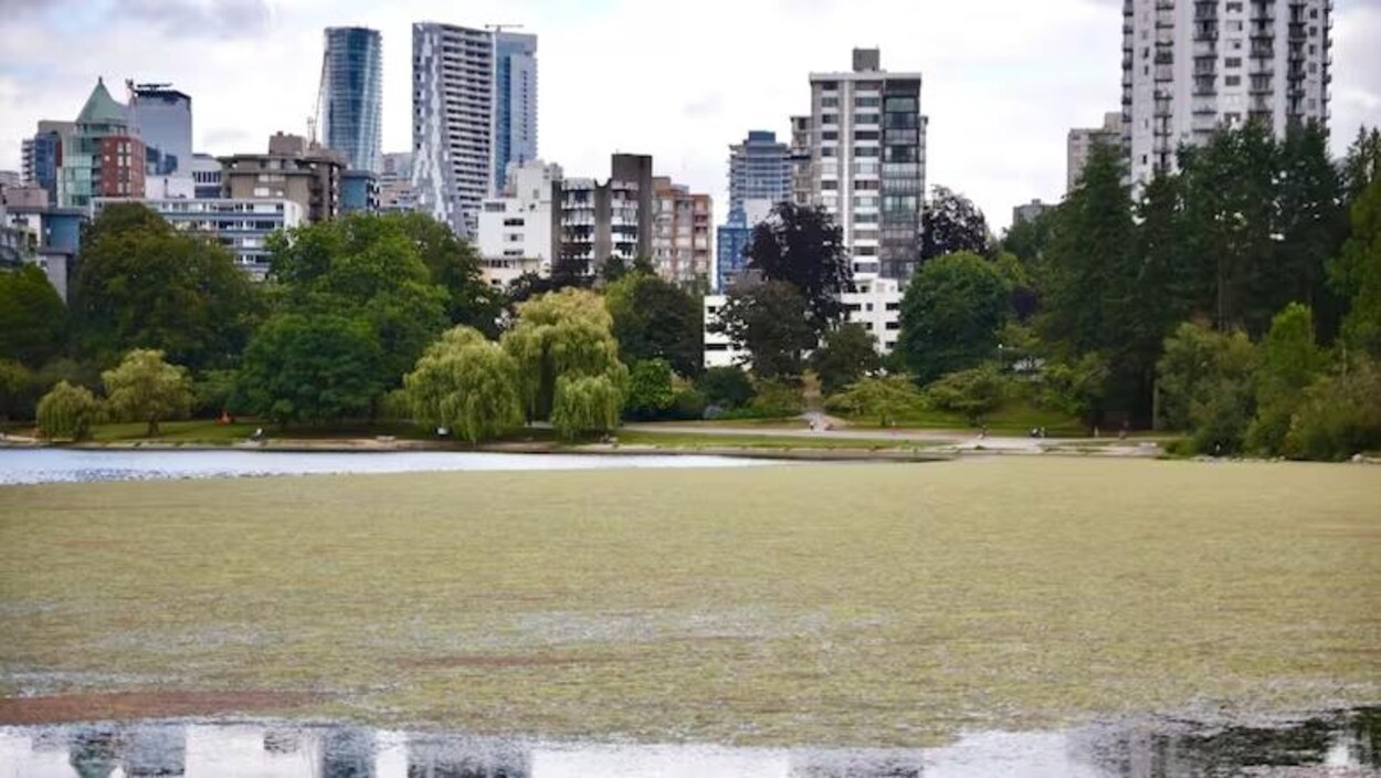 Des projets audacieux pour la commission des parcs de Vancouver