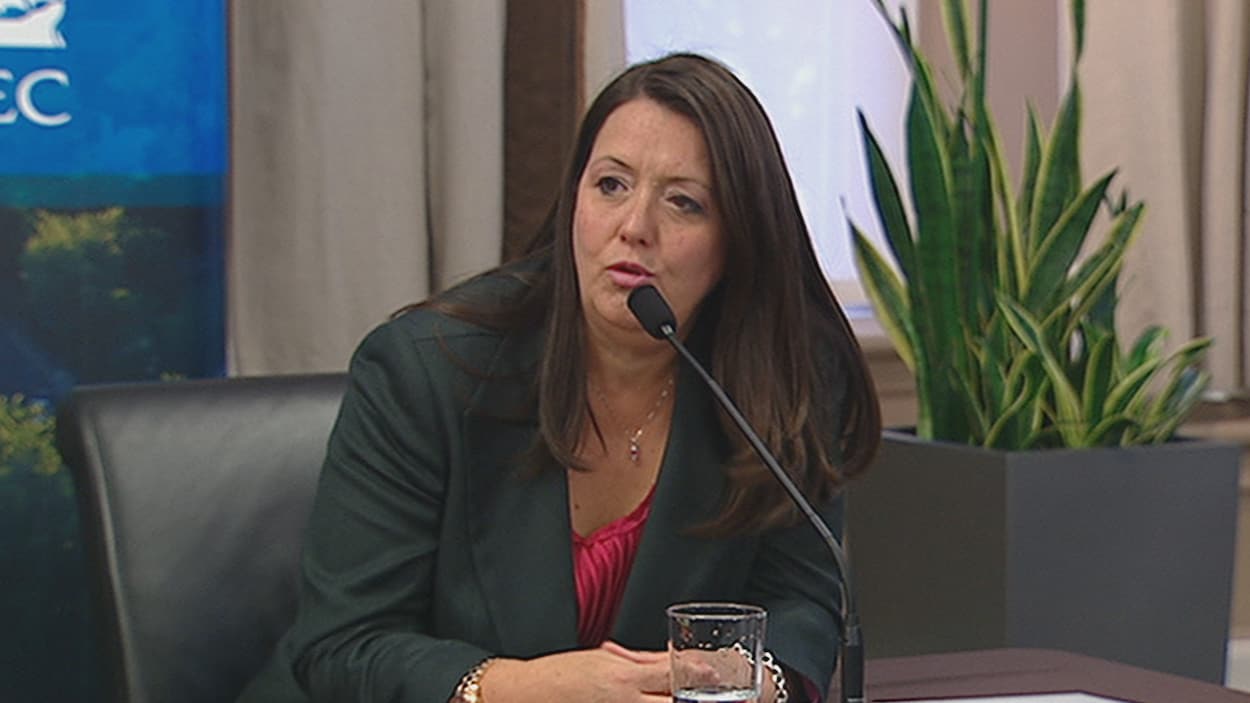 Louise Cordeau, la nouvelle présidente du Conseil du statut de la femme