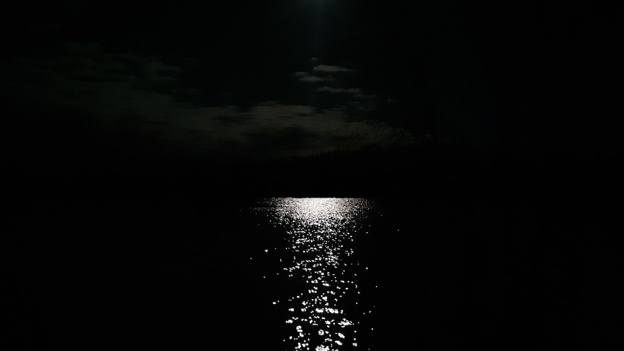 Ces créatures mythiques du Grand Nord qui hantent les œuvres modernes