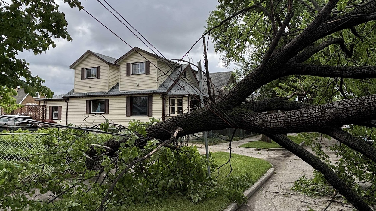 Les pannes de courant se poursuivent après la tempête à Winnipeg