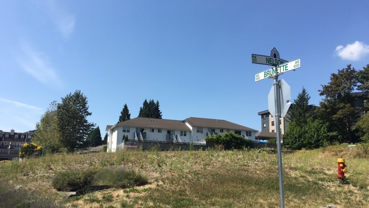 Un terrain vacant au coin d'une rue d'un quartier résidentiel.