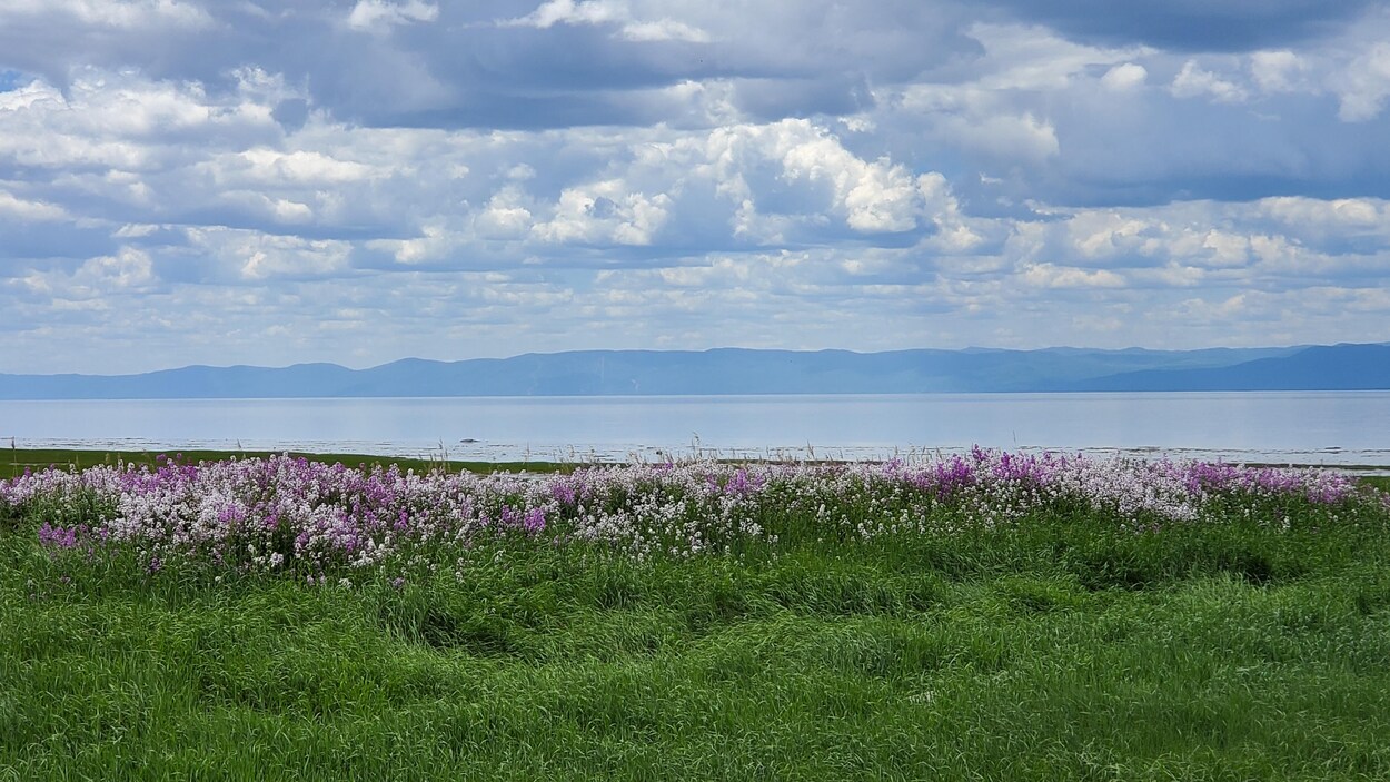 Vue sur le fleuve depuis la maison du Kamouraska