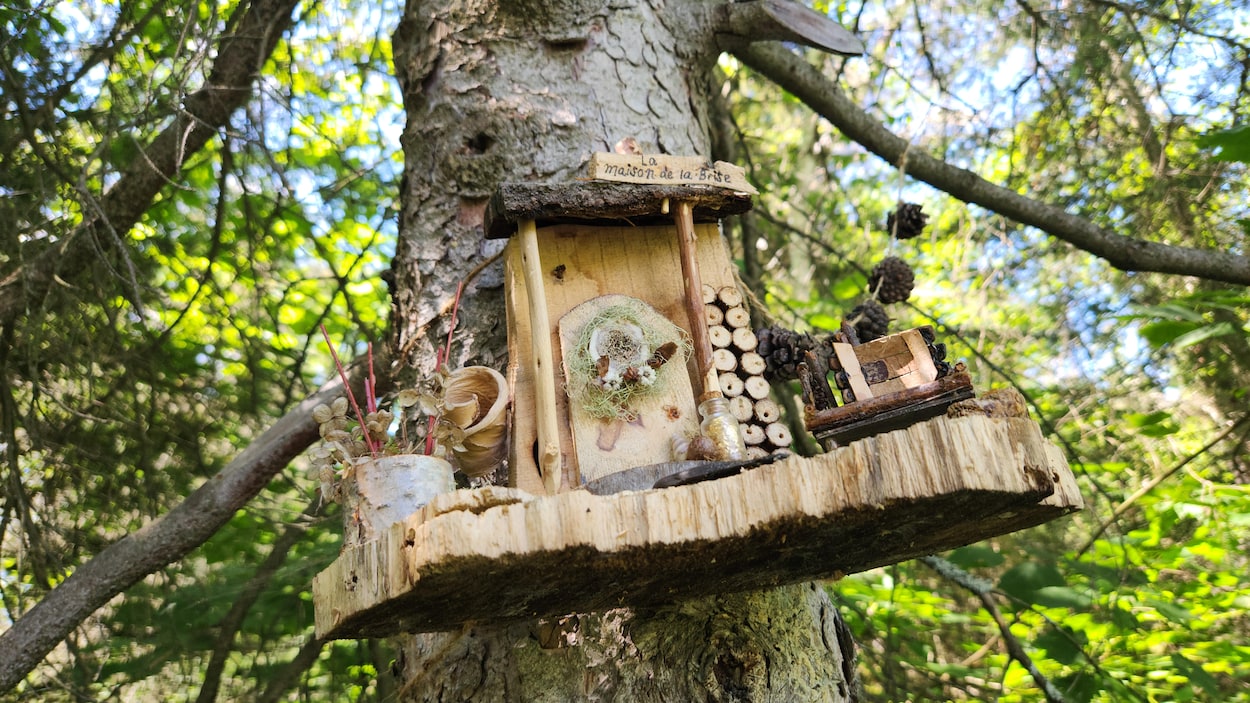 Des maisonnettes de fées dans les sentiers du parc Rivière-du-Moulin à Saguenay