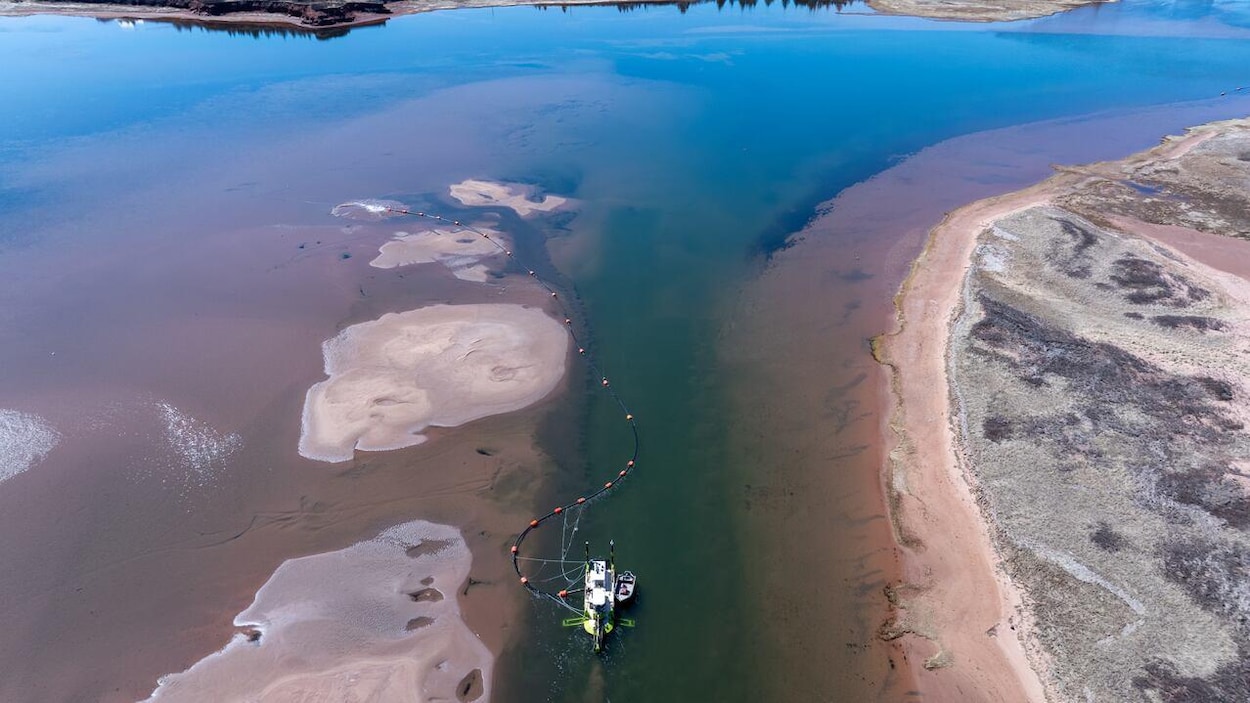 Débat à Malpèque sur l’ouverture hâtive de la pêche au homard