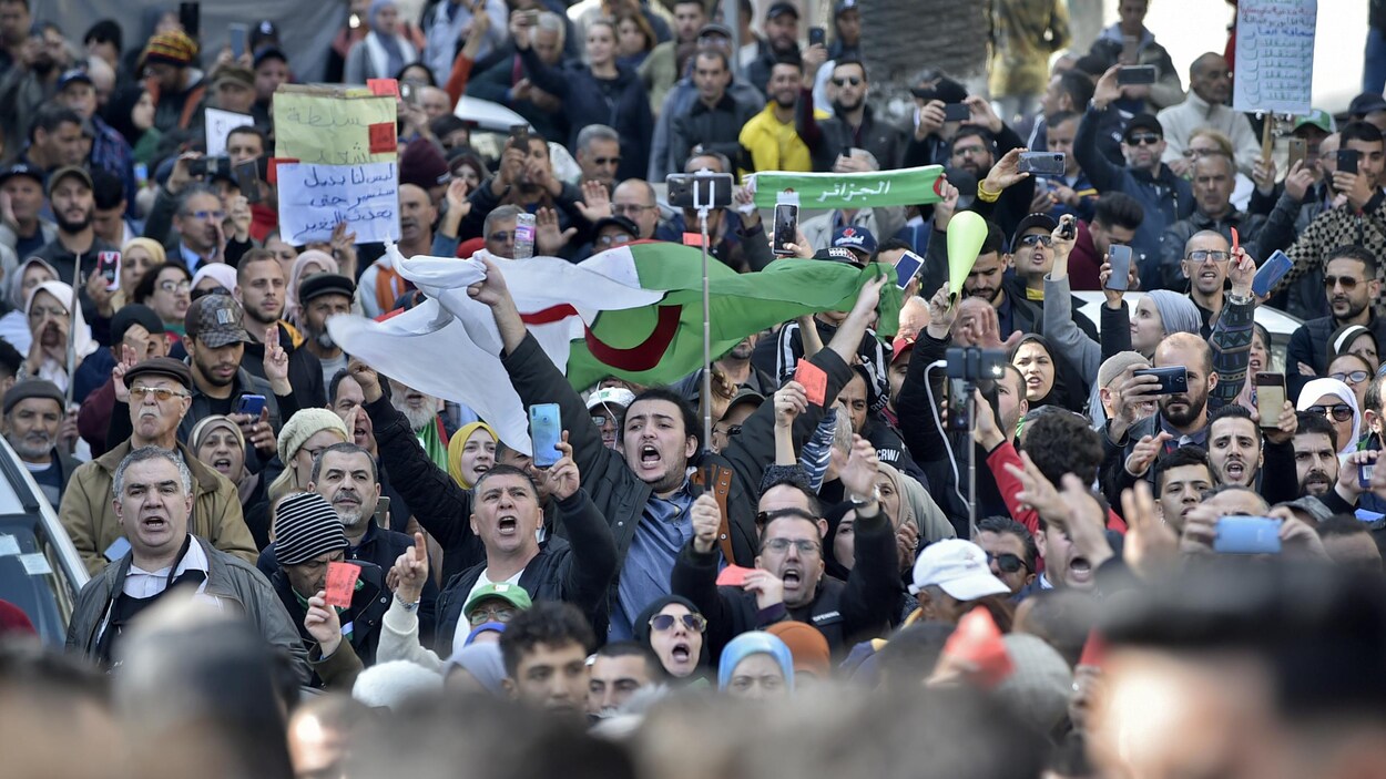 Des manifestants portant le drapeau algérien.