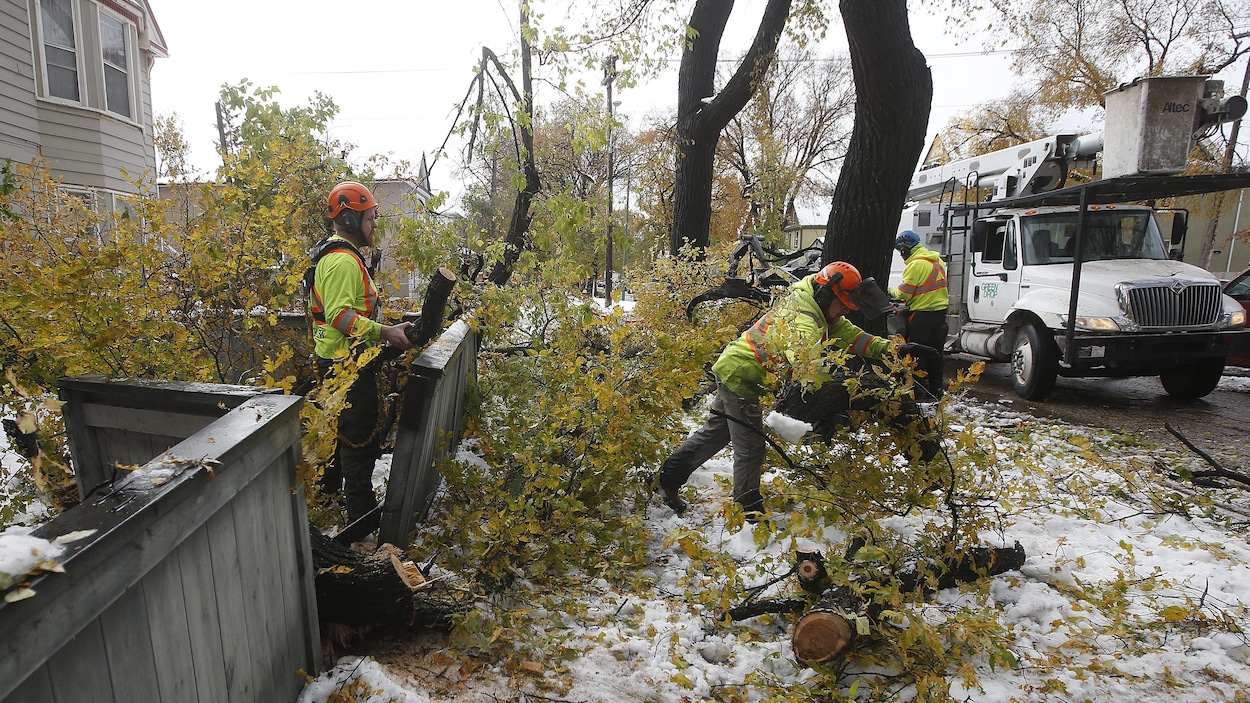 Une équipe technique s'emploie à nettoyer, à Winnipeg, au lendemain d'une tempête de neige. 