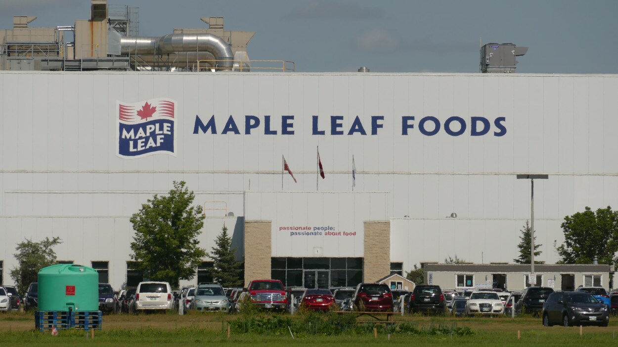 L'extérieur du bâtiment, avec le logo de Maple Leaf Foods.