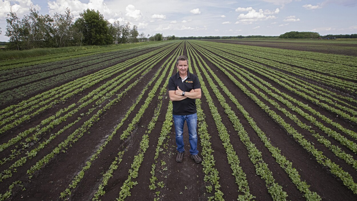M. Chenail, les bras en croix, au milieu d'un champ.