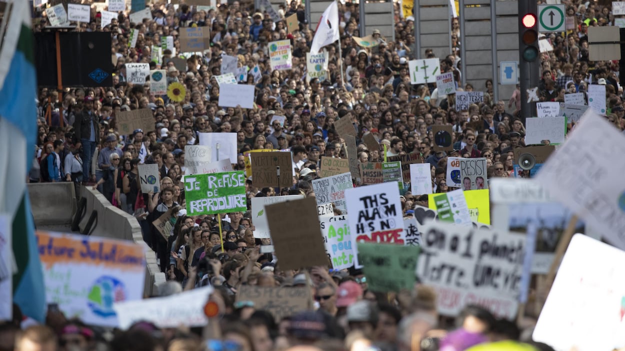 Chute de popularité du Parti vert, la faute à la droite?