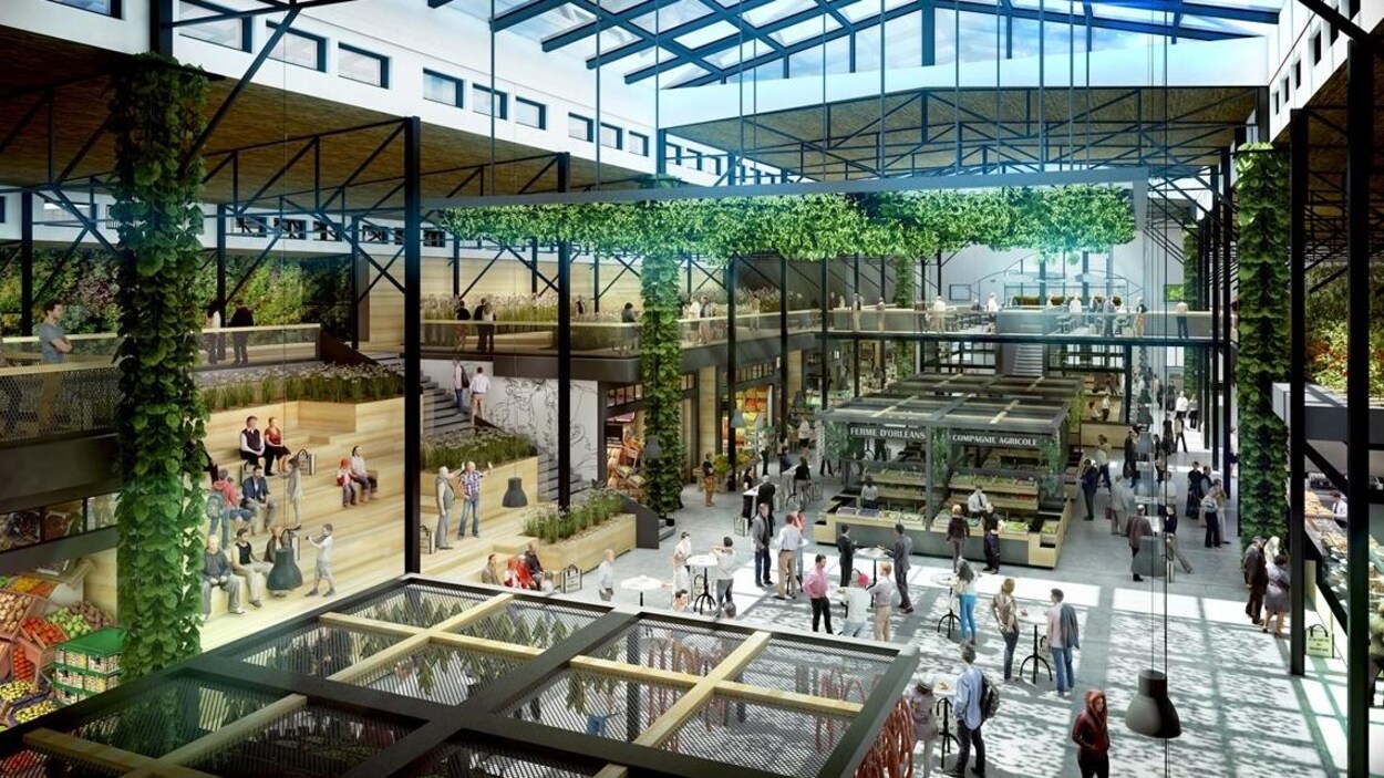 Croquis du futur marché lumineux au toit de verre.