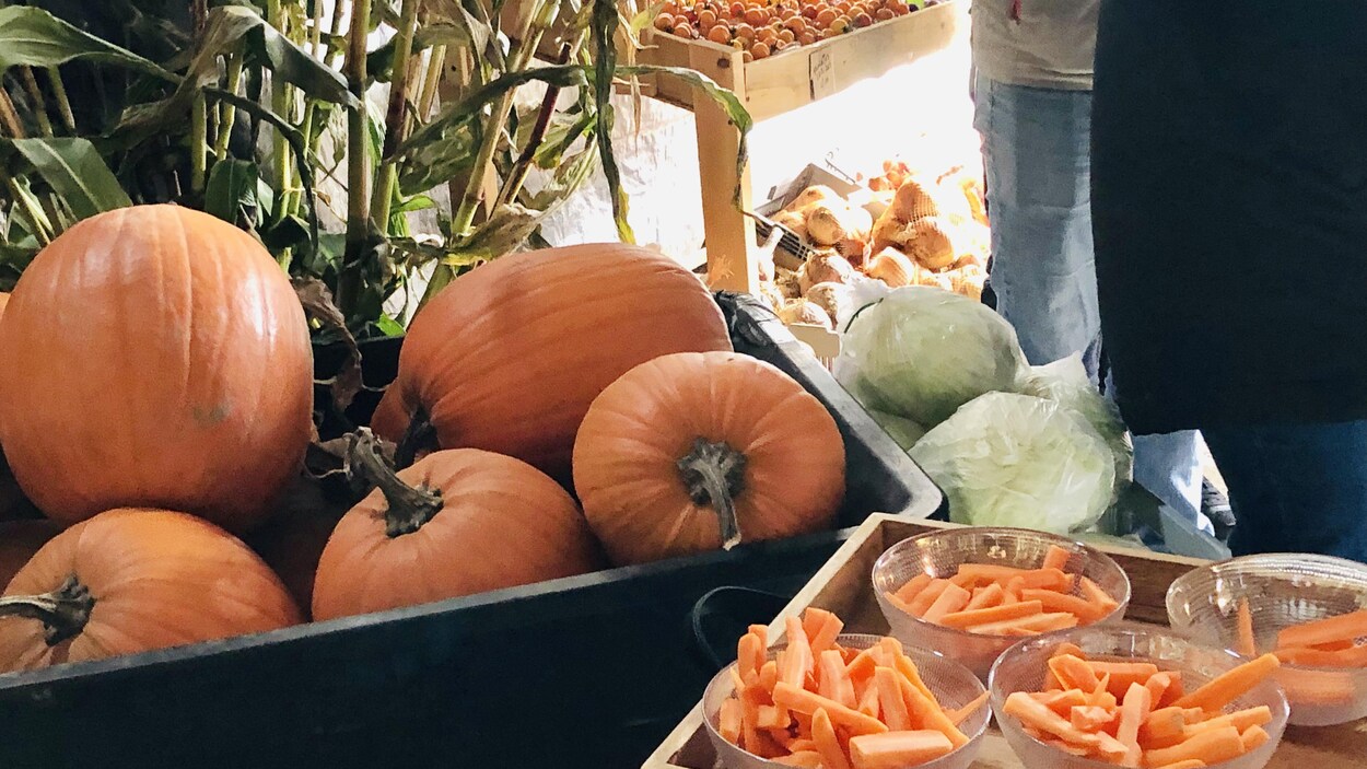 Des citrouilles et des carottes dans un marché public en automne