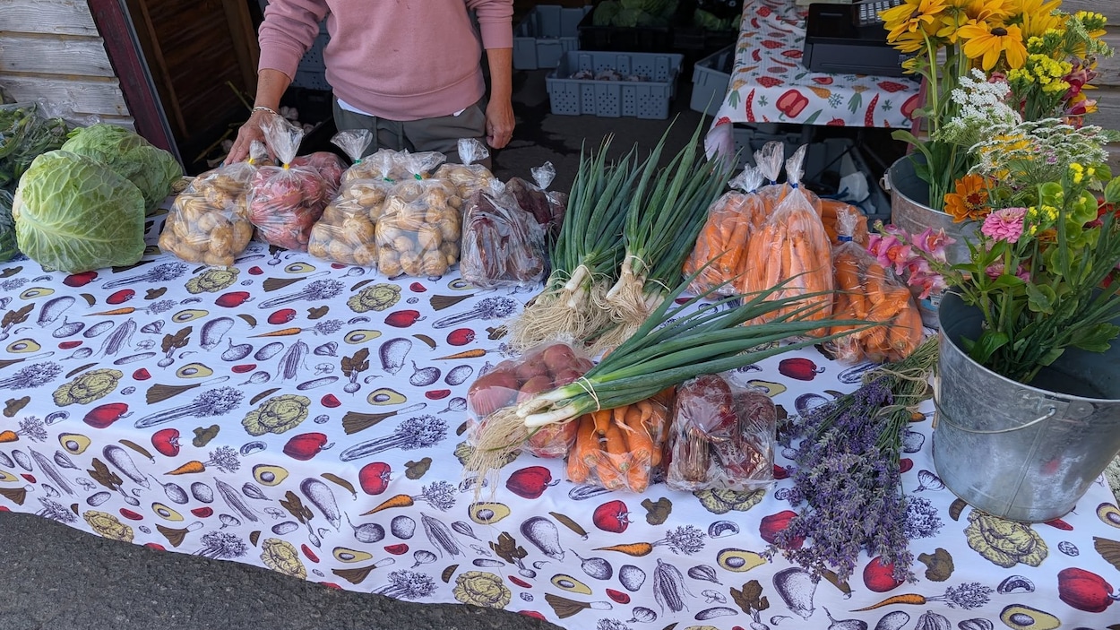 Rivière-du-Loup veut assurer le maintien des activités du Marché public Lafontaine