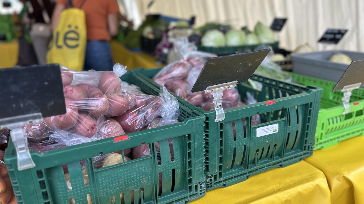 La Foire d’automne réunit maraîchers et citoyens à La Sarre