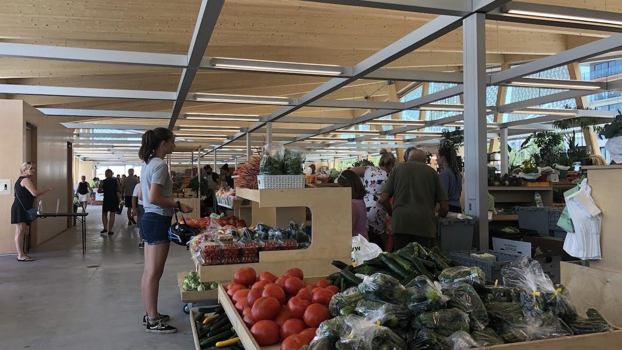 Une jeune femme se tient debout devant les étalages de légumes.