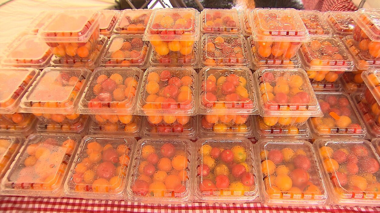 Des emballages en plastique de tomates cerises sont empilées sur une table recouverte d'une nappe carreautée.