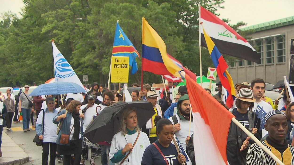 Plusieurs personnes marchent dans la rue par une journée grise. Certains brandissent des drapeaux aux couleurs de leur pays d'origine.