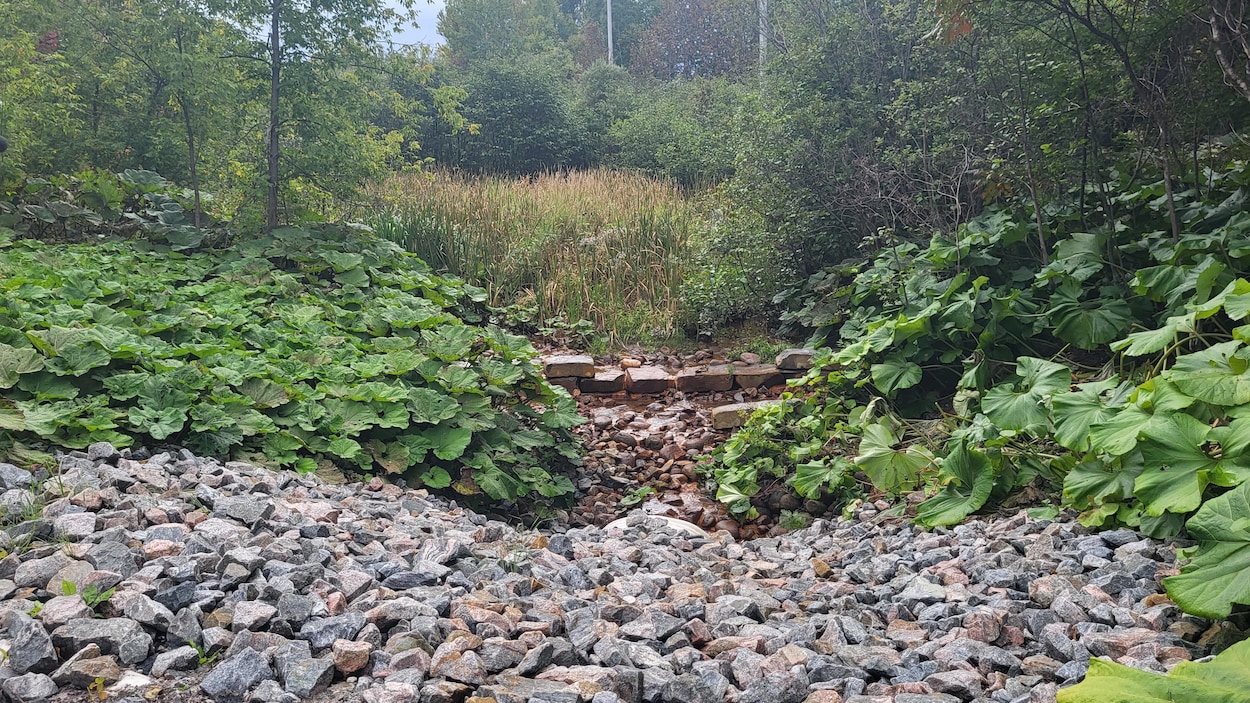 Un site marécageux réaménagé à Dolbeau-Mistassini