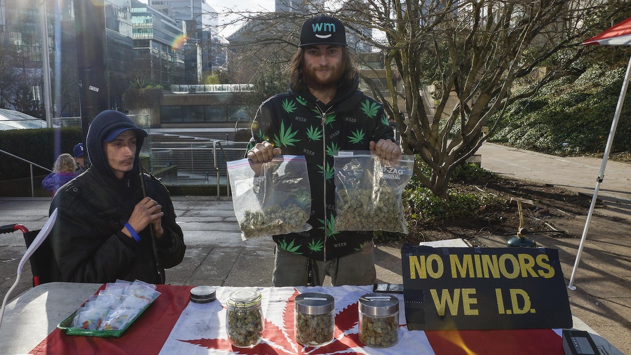 Un vendeur de marijuana avec ses produits. Un vendeur de marijuana avec ses produits.