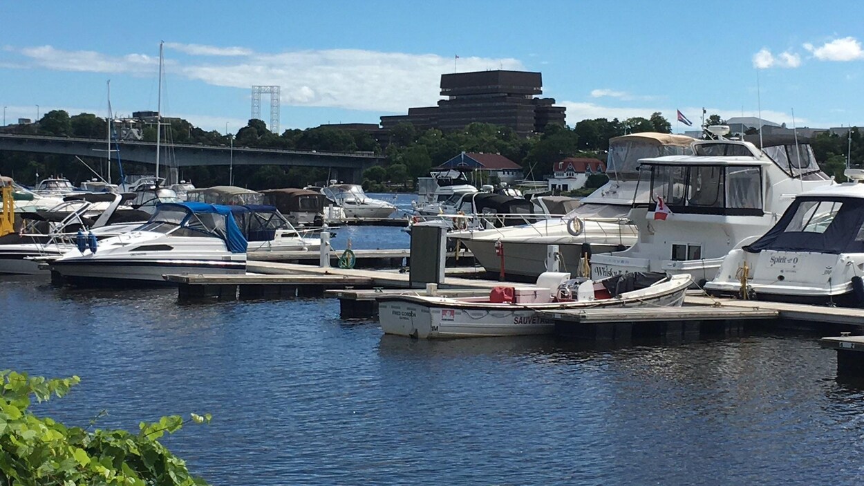 Des bateaux sont accostés à la marina de Hull Des bateaux sont accostés à la marina de Hull