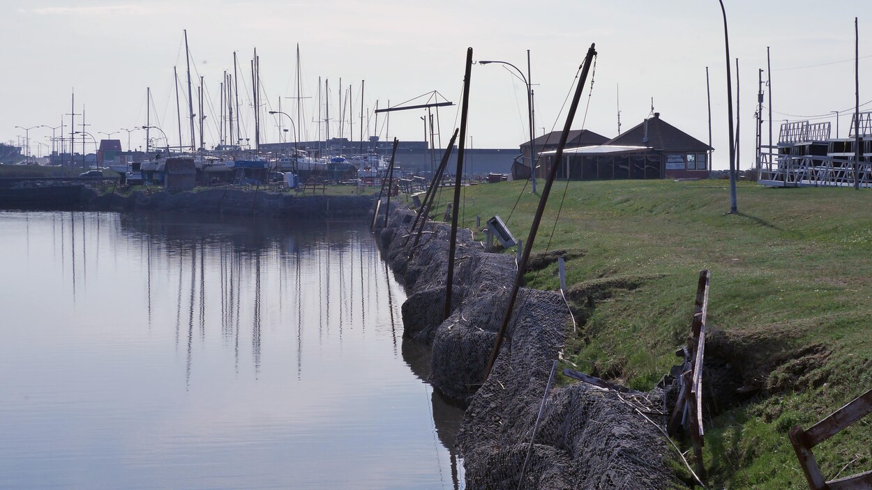 Le bassin de la marina de Matane.
