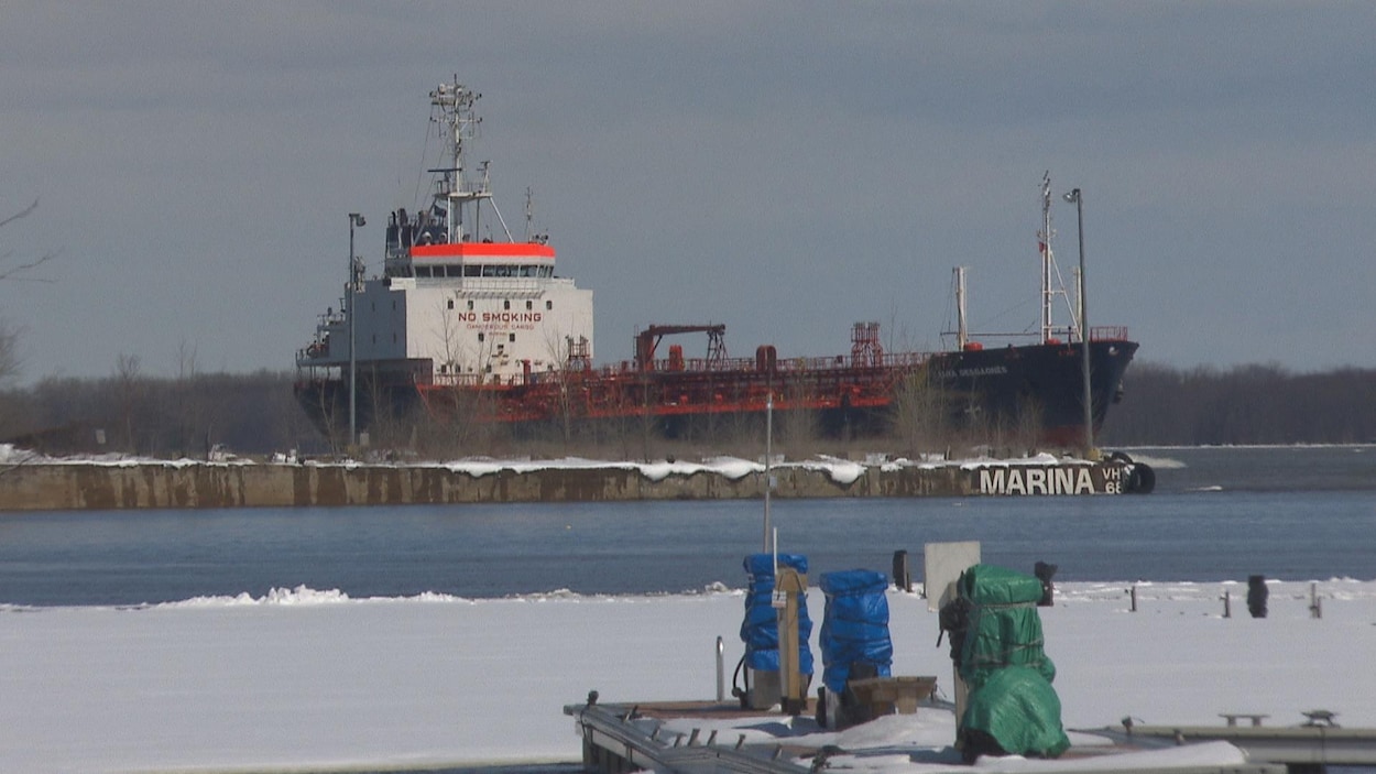 Un bateau-cargo passe sur le fleuve devant la marina de Trois-Rivières.