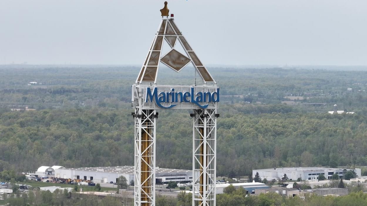 Des souvenirs de Marineland pour des orphelins serbes