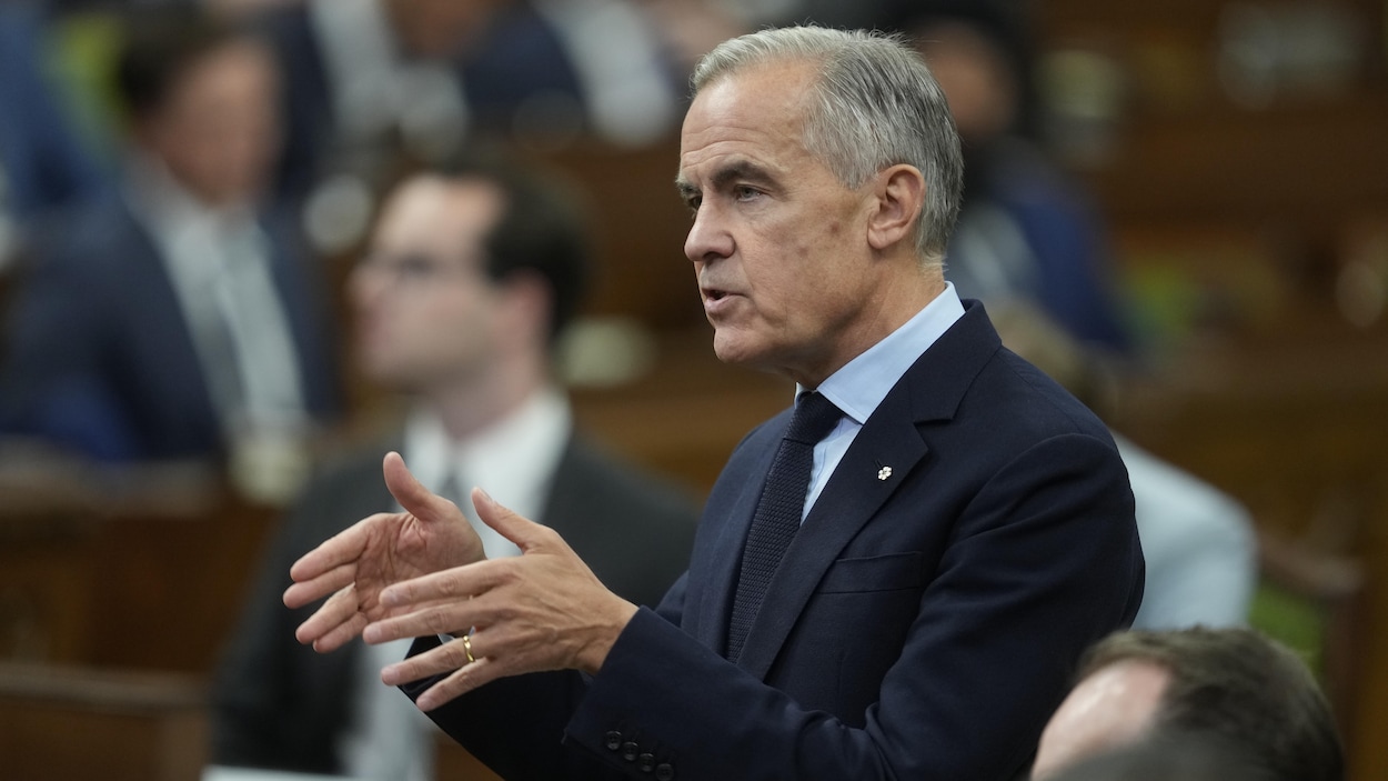 Normes environnementales : Carney défend son projet de loi