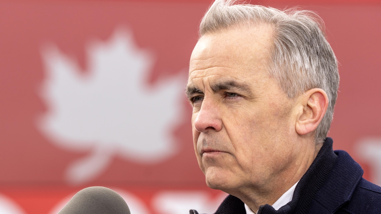 Appel avec Donald Trump : « On a fait du progrès », affirme Mark Carney