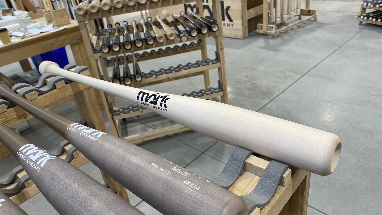 X Bats Torpedo Pro Model Batte de baseball en bois d'érable de qualité