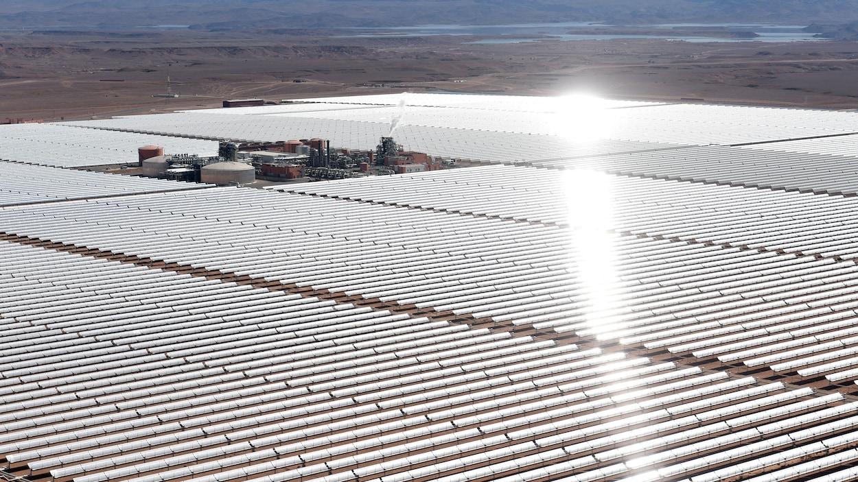 Des centaines de panneaux solaires sont installés autour de petites installations industrielles.