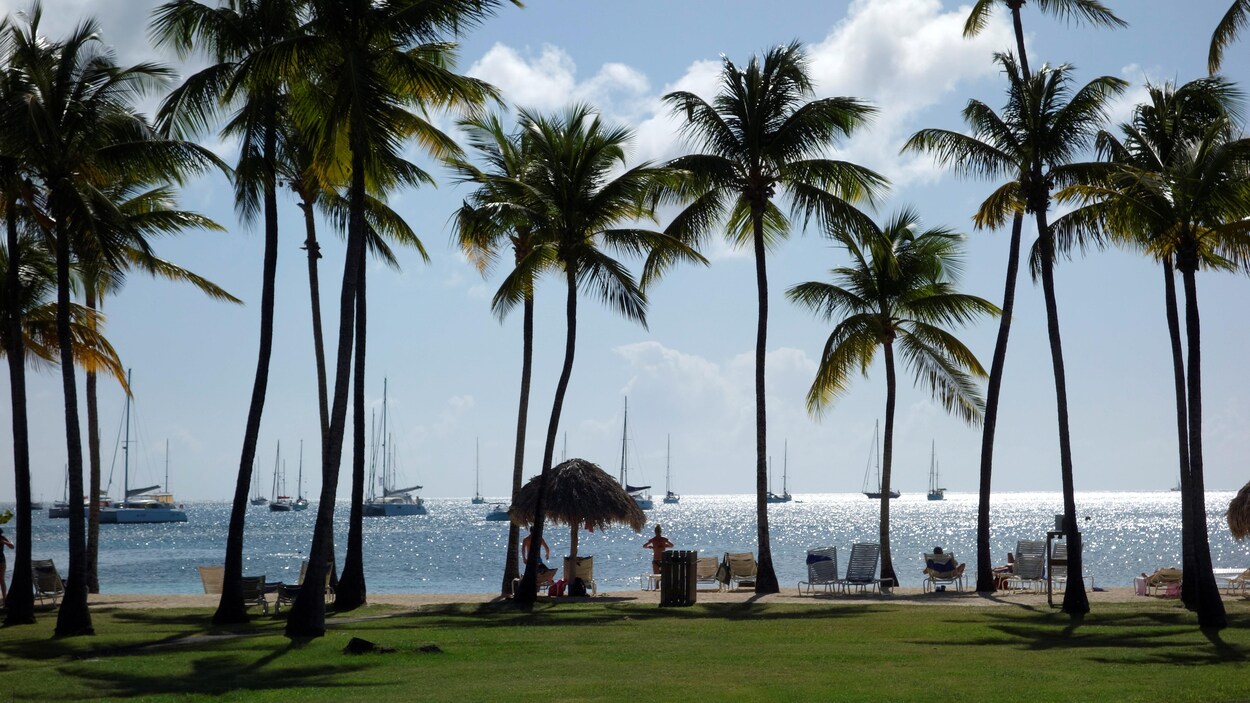 Une plage à Sainte-Anne. en Martinique.