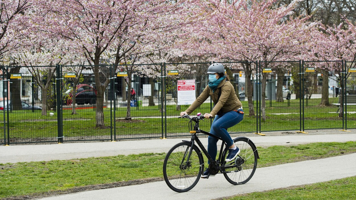Une femme fait du vélo dans un parc de Toronto où des cerisiers sont en fleurs.