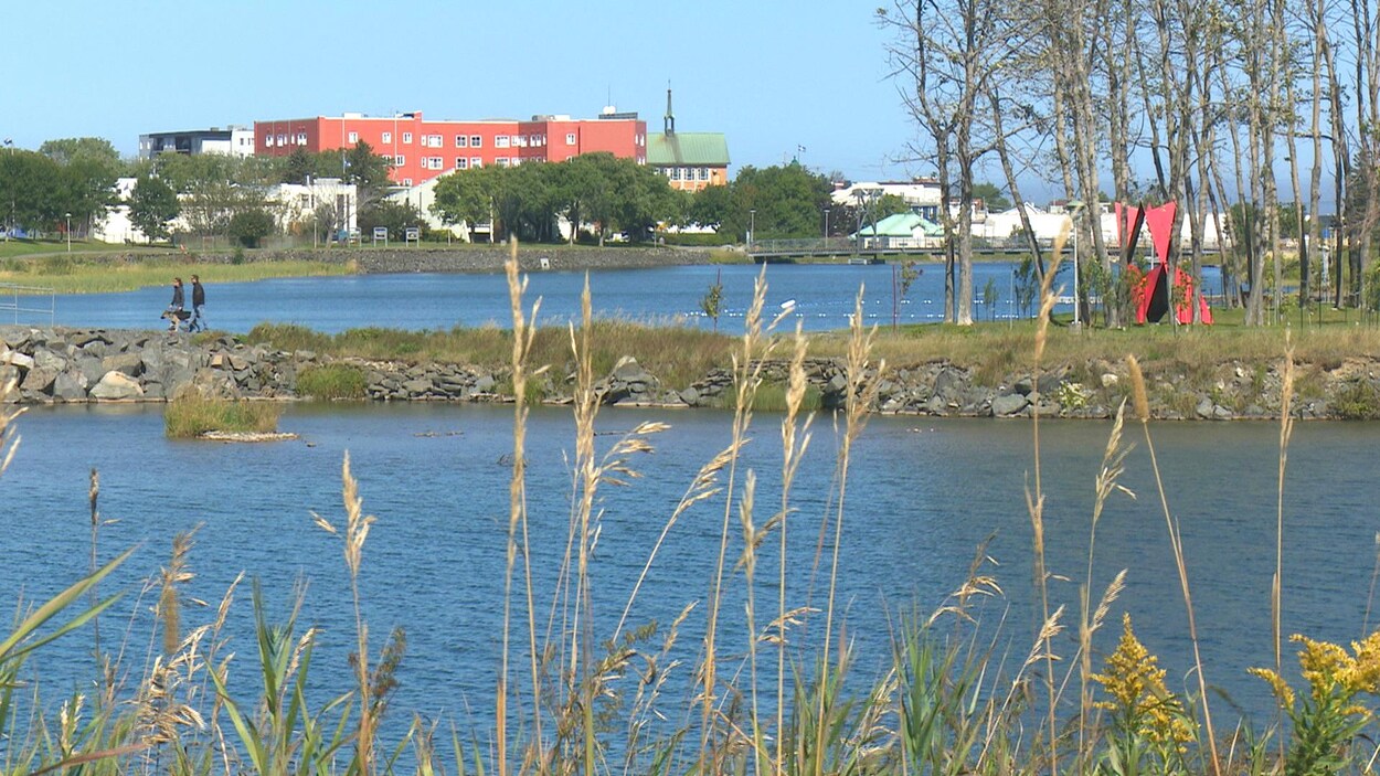 La rivière Matane et le parc des îles. La rivière Matane et le parc des îles.