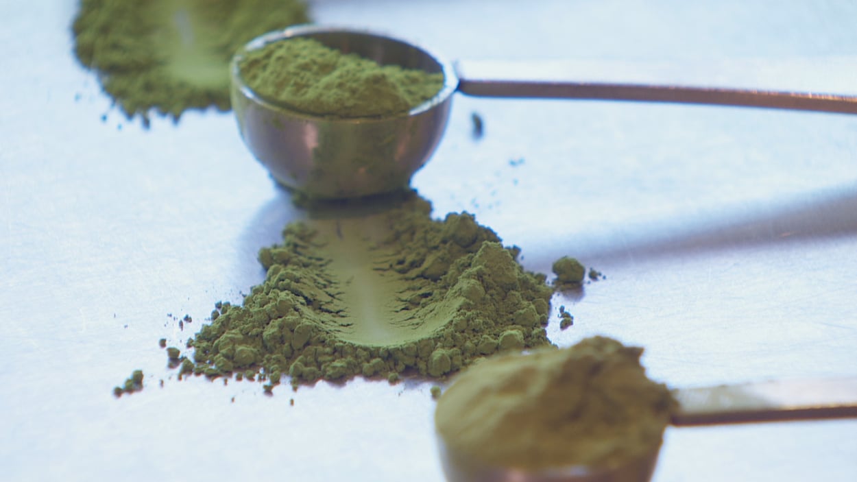 La pénurie mondiale de thé matcha a des effets jusqu’en Colombie-Britannique