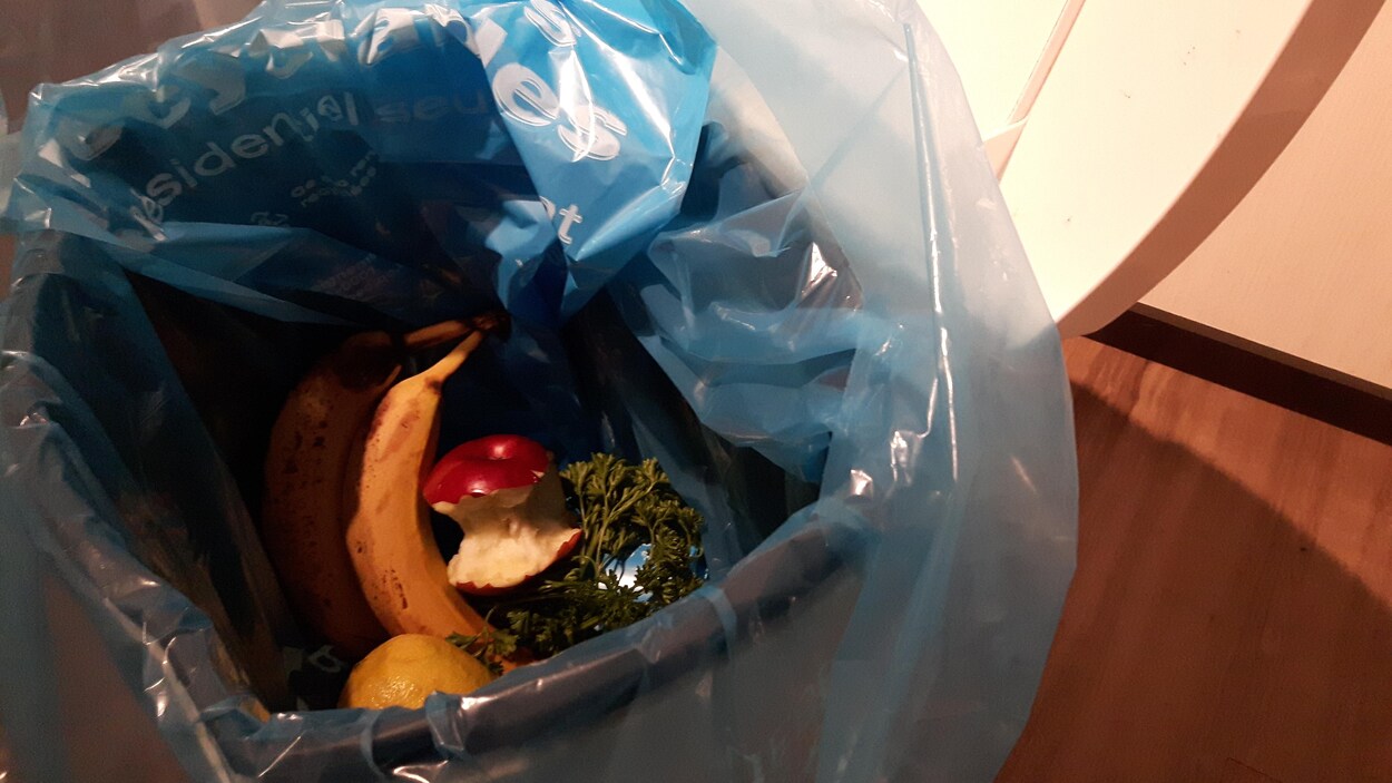 Des fruits et des légumes dans un sac de plastique recyclable